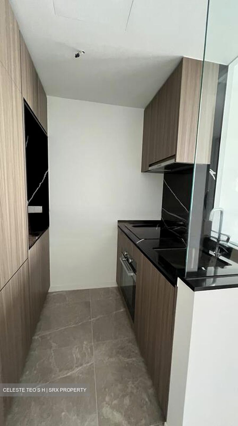 Irwell Hill Residences (D9), Apartment #471350191